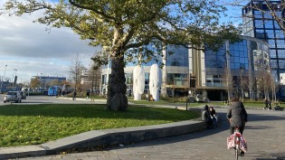 Kaupunkinäkymä, jossa puu, pyöräilijä, toimistorakennus ja 7 metriä korkea valkoinen kipsipatsas, jossa kaksi päätä katsoo toisiaan